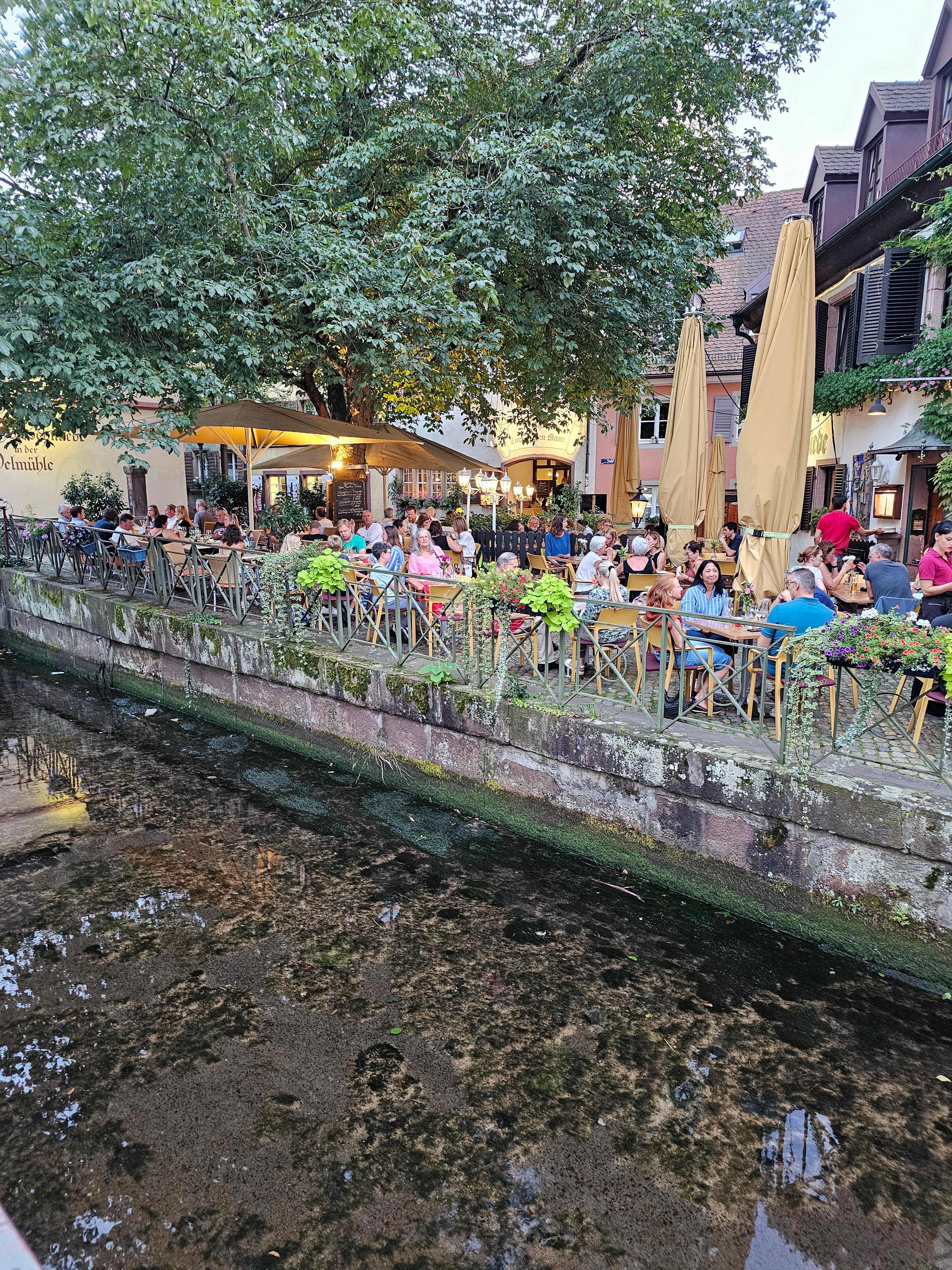 Restaurang