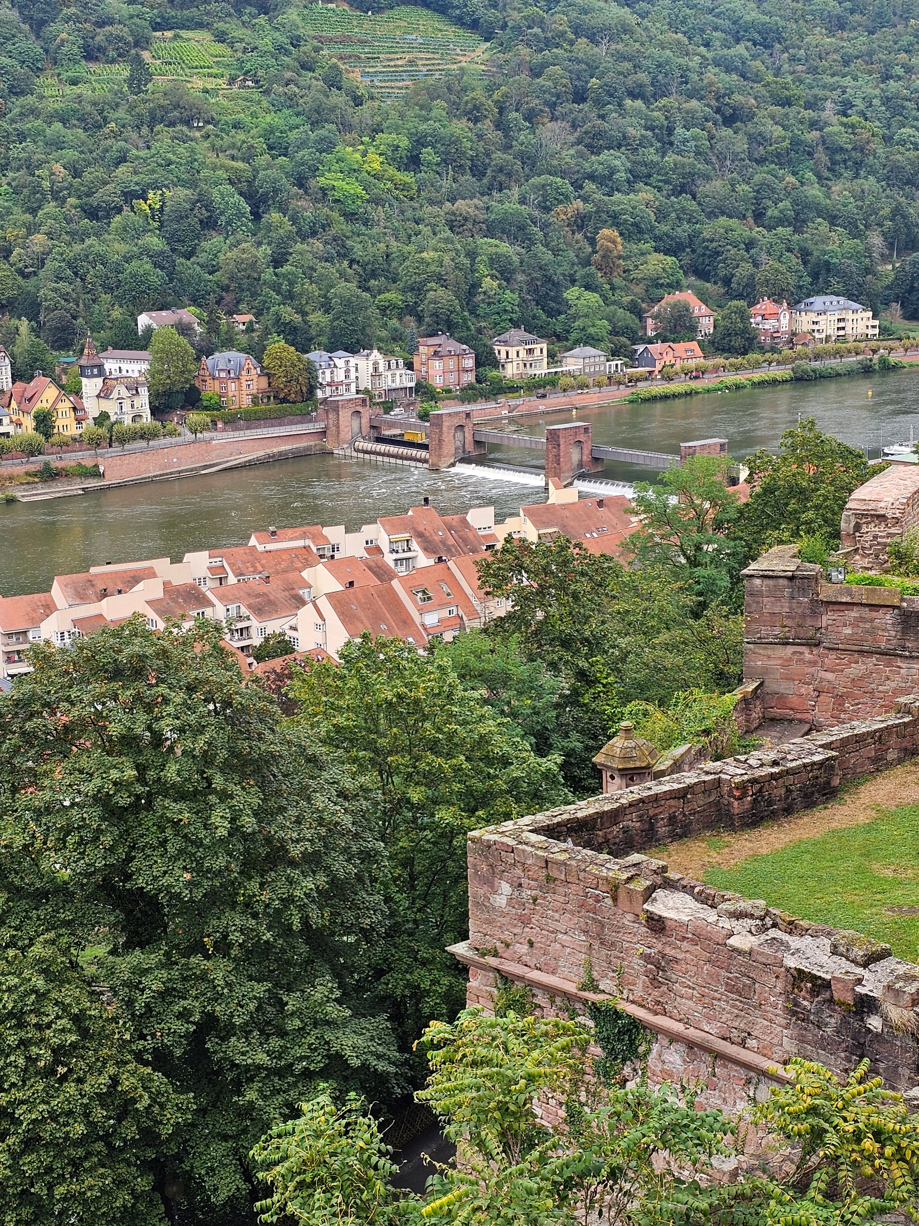 Vy över Heidelberg från Slottet