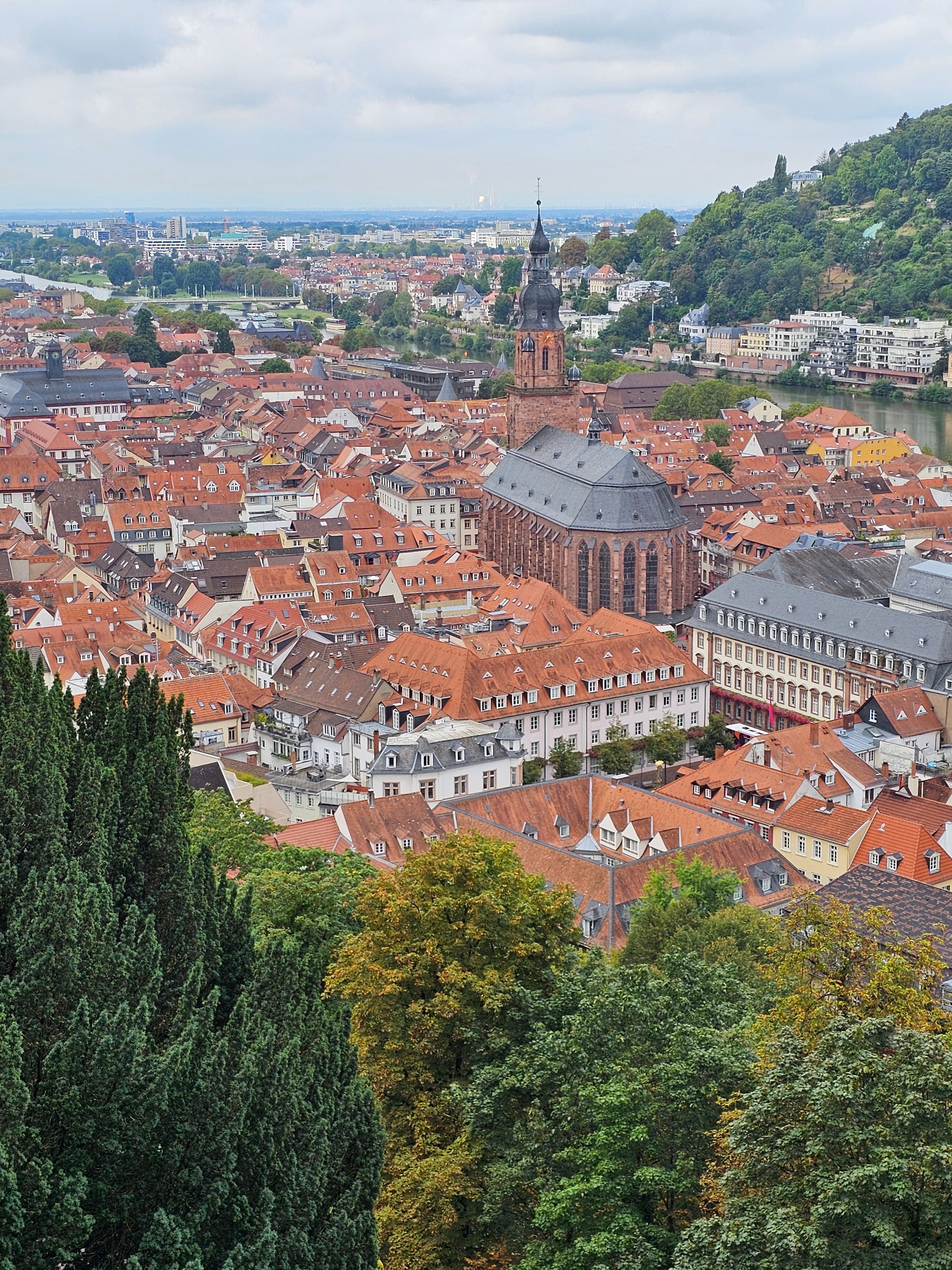 Vy från Königstuhl