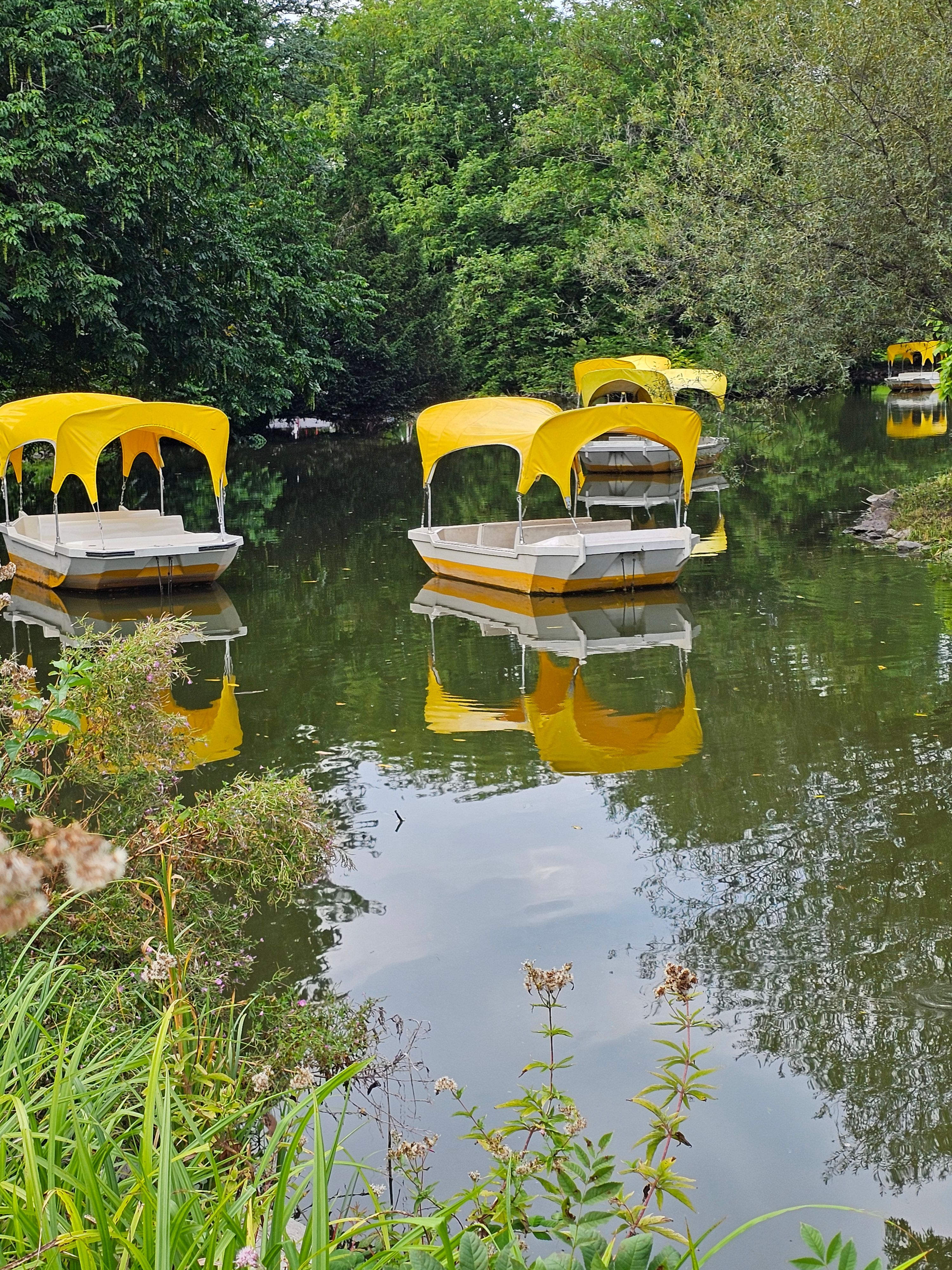 Luisenpark